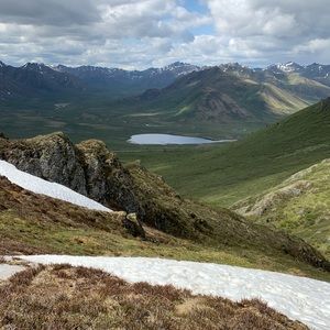 Meet your Posher, Natasha